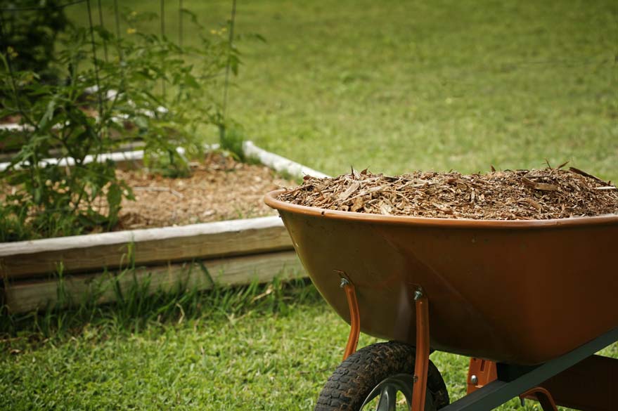 Woodland mulch picture 1