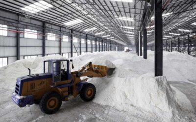 Global Trade of Wood Chips Increased Nearly 50% In The Last 10 Years