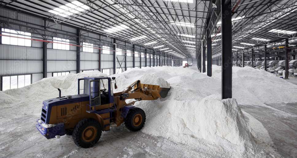 Global Trade of Wood Chips Increased Nearly 50% In The Last 10 Years