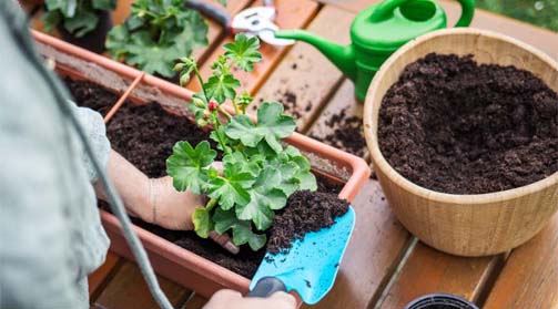 Organic-Multipurpose-Compost-Warden-and-Humshaugh